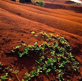 虚幻5《夺宝奇兵》粉丝概念预告 琼斯博士古墓探险
